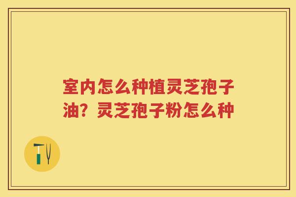 室内怎么种植灵芝孢子油？灵芝孢子粉怎么种