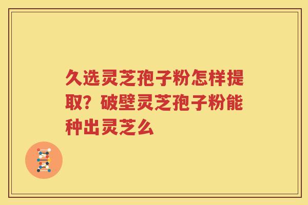 久选灵芝孢子粉怎样提取？破壁灵芝孢子粉能种出灵芝么