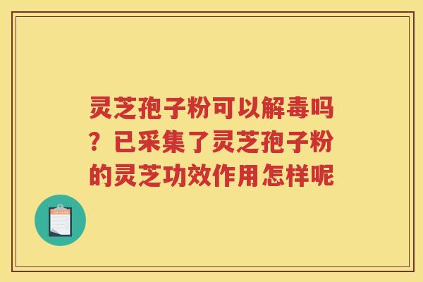 灵芝孢子粉可以吗?已采集了灵芝孢子粉的灵芝功效作用怎样呢 灵芝孢子粉可以吗?已采集了灵芝孢子粉的灵芝功效作用怎样呢