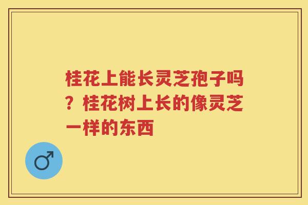 桂花上能长灵芝孢子吗？桂花树上长的像灵芝一样的东西