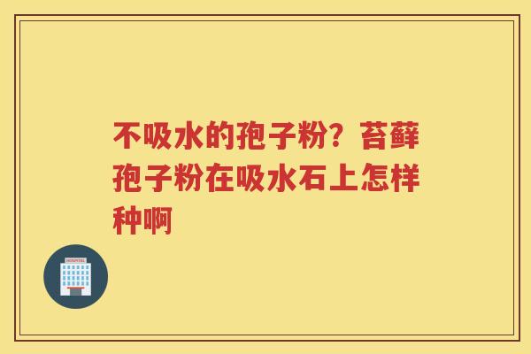 不吸水的孢子粉?苔藓孢子粉在吸水石上怎样种啊 不吸水的孢子粉?苔藓孢子粉在吸水石上怎样种啊