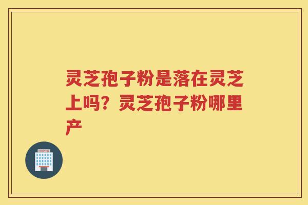 灵芝孢子粉是落在灵芝上吗?灵芝孢子粉哪里产 灵芝孢子粉是落在灵芝上吗?灵芝孢子粉哪里产