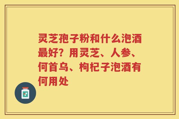 灵芝孢子粉和什么泡酒好？用灵芝、人参、何首乌、枸杞子泡酒有何用处