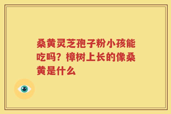 桑黄灵芝孢子粉小孩能吃吗？樟树上长的像桑黄是什么