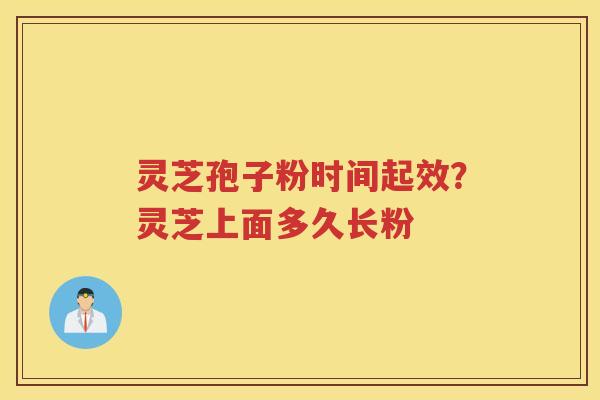灵芝孢子粉时间起效？灵芝上面多久长粉