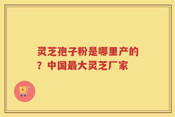 灵芝孢子粉是哪里产的？中国大灵芝厂家