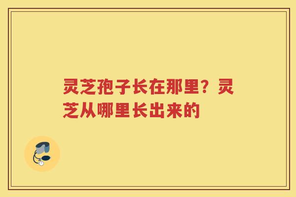 灵芝孢子长在那里?灵芝从哪里长出来的 灵芝孢子长在那里?灵芝从哪里长出来的