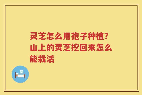 灵芝怎么用孢子种植？山上的灵芝挖回来怎么能栽活
