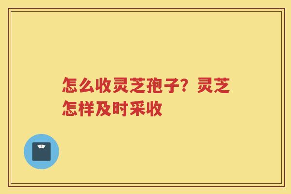 怎么收灵芝孢子？灵芝怎样及时采收