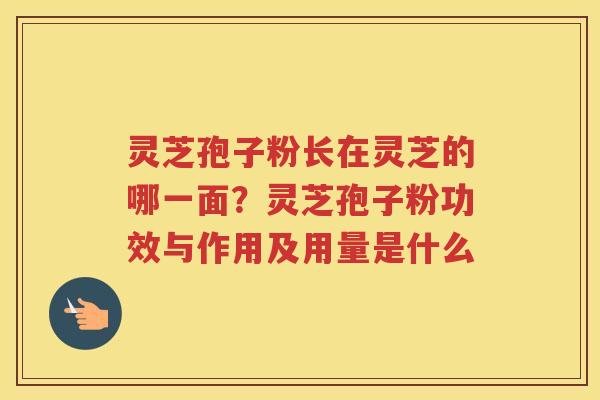 灵芝孢子粉长在灵芝的哪一面？灵芝孢子粉功效与作用及用量是什么