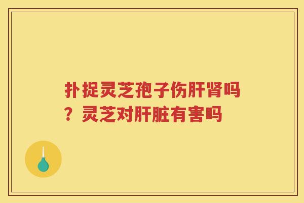 扑捉灵芝孢子伤吗？灵芝对有害吗