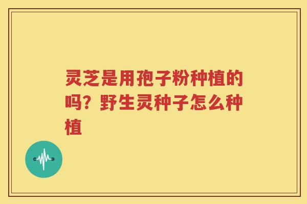 灵芝是用孢子粉种植的吗？野生灵种子怎么种植