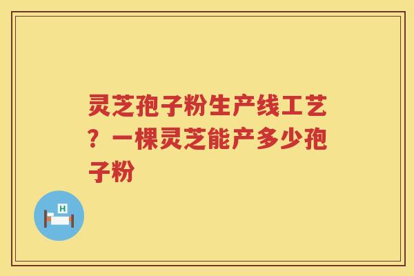 灵芝孢子粉生产线工艺？一棵灵芝能产多少孢子粉