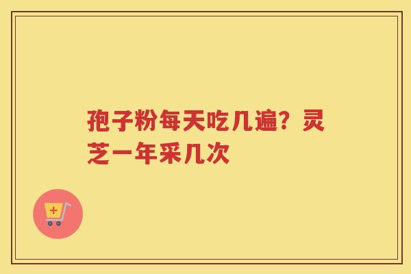孢子粉每天吃几遍？灵芝一年采几次