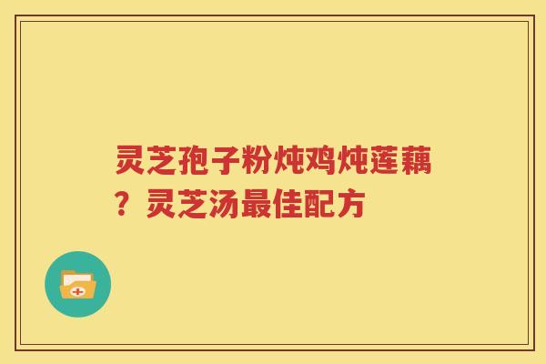 灵芝孢子粉炖鸡炖莲藕？灵芝汤佳配方