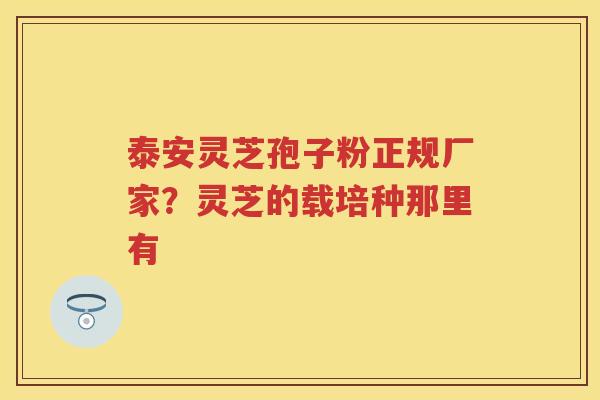 泰安灵芝孢子粉正规厂家？灵芝的载培种那里有