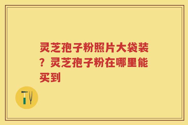 灵芝孢子粉照片大袋装？灵芝孢子粉在哪里能买到