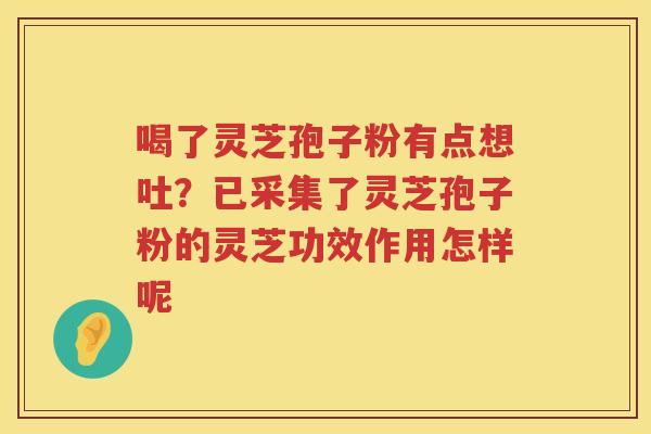 喝了灵芝孢子粉有点想吐？已采集了灵芝孢子粉的灵芝功效作用怎样呢