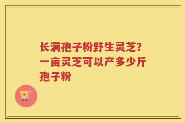 长满孢子粉野生灵芝？一亩灵芝可以产多少斤孢子粉