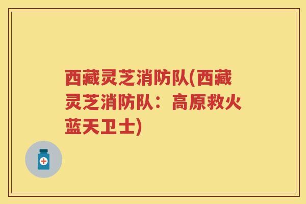 西藏灵芝消防队(西藏灵芝消防队:高原救火蓝天卫士) 西藏灵芝消防队(西藏灵芝消防队:高原救火蓝天卫士)
