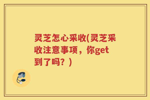 灵芝怎心采收(灵芝采收注意事项，你get到了吗？)