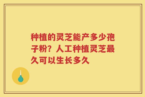 种植的灵芝能产多少孢子粉?人工种植灵芝久可以生长多久 种植的灵芝能产多少孢子粉?人工种植灵芝久可以生长多久
