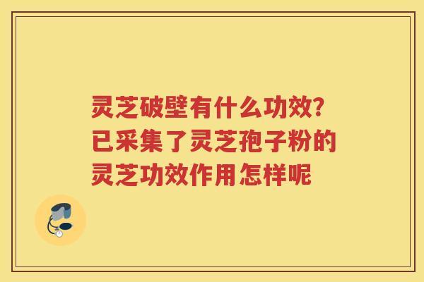 灵芝破壁有什么功效?已采集了灵芝孢子粉的灵芝功效作用怎样呢 灵芝破壁有什么功效?已采集了灵芝孢子粉的灵芝功效作用怎样呢
