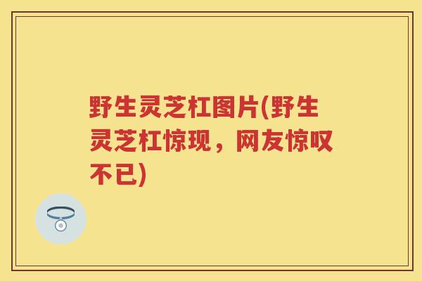 野生灵芝杠图片(野生灵芝杠惊现,网友惊叹不已) 野生灵芝杠图片(野生灵芝杠惊现,网友惊叹不已)