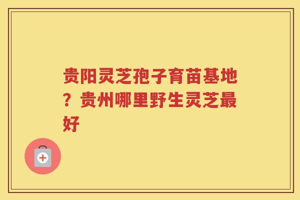 贵阳灵芝孢子育苗基地?贵州哪里野生灵芝好 贵阳灵芝孢子育苗基地?贵州哪里野生灵芝好