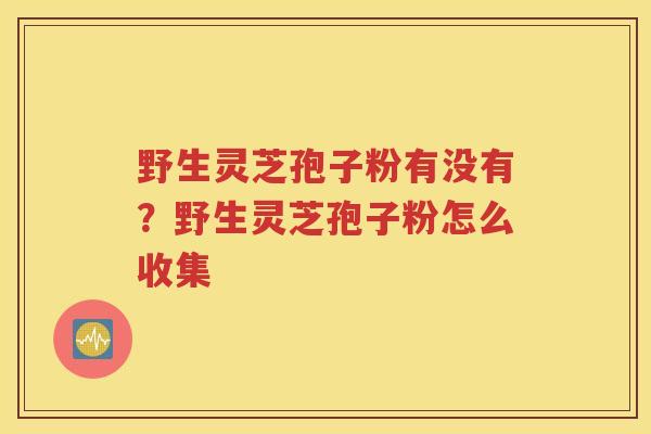 野生灵芝孢子粉有没有？野生灵芝孢子粉怎么收集