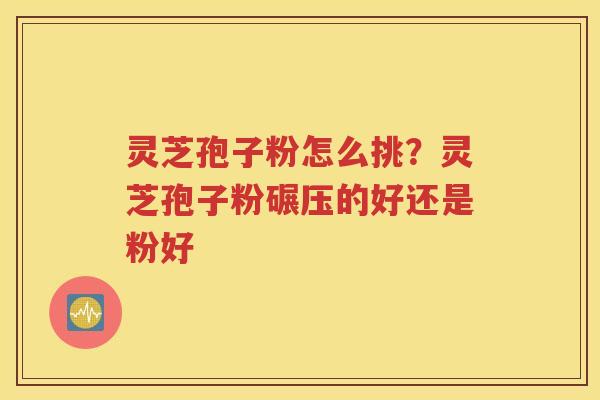 灵芝孢子粉怎么挑？灵芝孢子粉碾压的好还是粉好