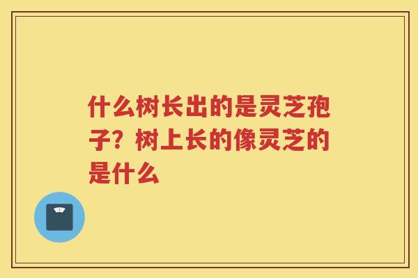 什么树长出的是灵芝孢子？树上长的像灵芝的是什么