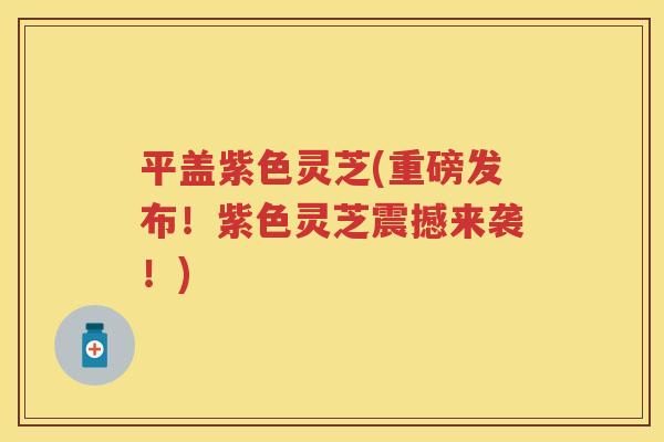 平盖紫色灵芝(重磅发布!紫色灵芝震撼来袭!) 平盖紫色灵芝(重磅发布!紫色灵芝震撼来袭!)