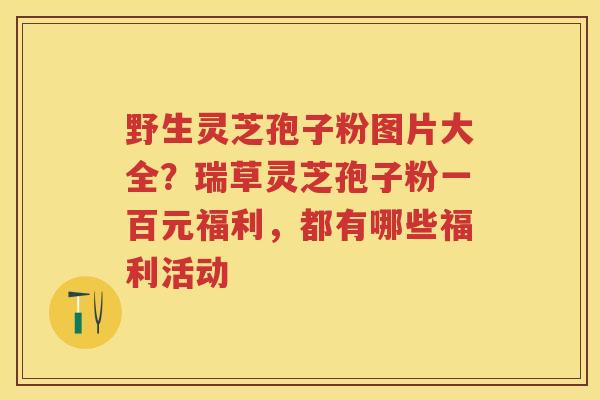 野生灵芝孢子粉图片大全？瑞草灵芝孢子粉一百元福利，都有哪些福利活动