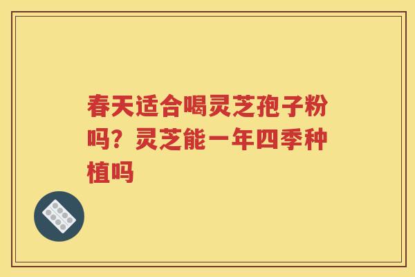 春天适合喝灵芝孢子粉吗?灵芝能一年四季种植吗 春天适合喝灵芝孢子粉吗?灵芝能一年四季种植吗