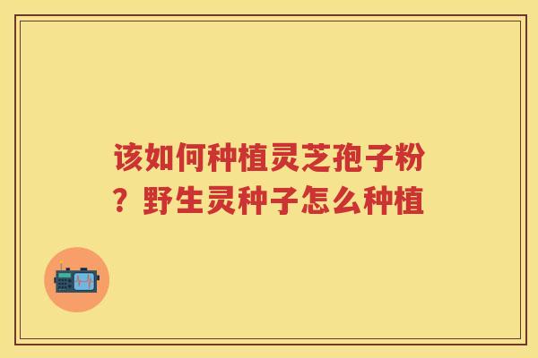 该如何种植灵芝孢子粉？野生灵种子怎么种植