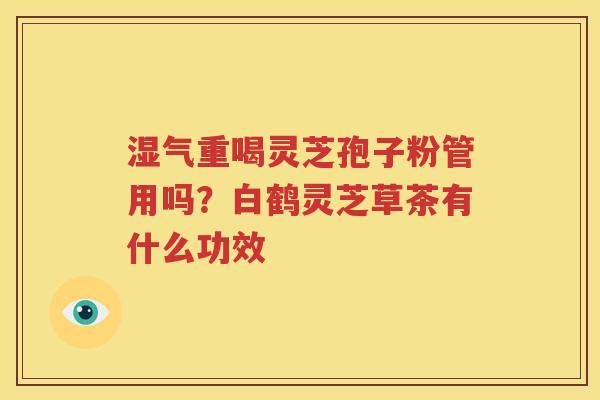 湿气重喝灵芝孢子粉管用吗？白鹤灵芝草茶有什么功效