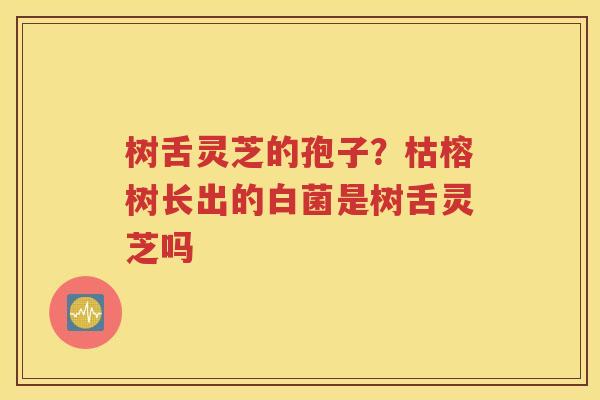树舌灵芝的孢子?枯榕树长出的白菌是树舌灵芝吗 树舌灵芝的孢子?枯榕树长出的白菌是树舌灵芝吗