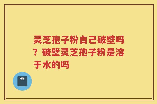 灵芝孢子粉自己破壁吗？破壁灵芝孢子粉是溶于水的吗