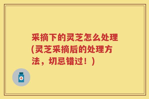 采摘下的灵芝怎么处理(灵芝采摘后的处理方法，切忌错过！)