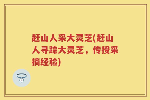 赶山人采大灵芝(赶山人寻踪大灵芝，传授采摘经验)
