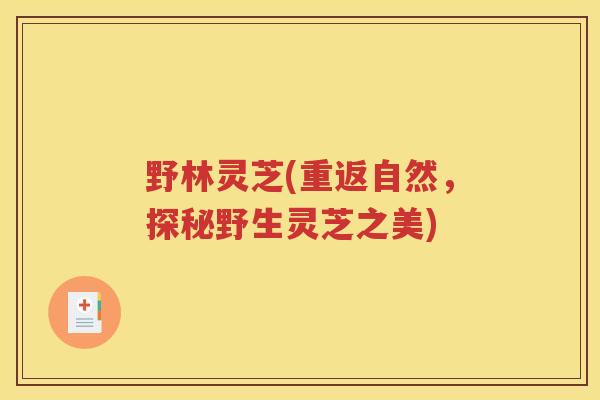 野林灵芝(重返自然,探秘野生灵芝之美) 野林灵芝(重返自然,探秘野生灵芝之美)