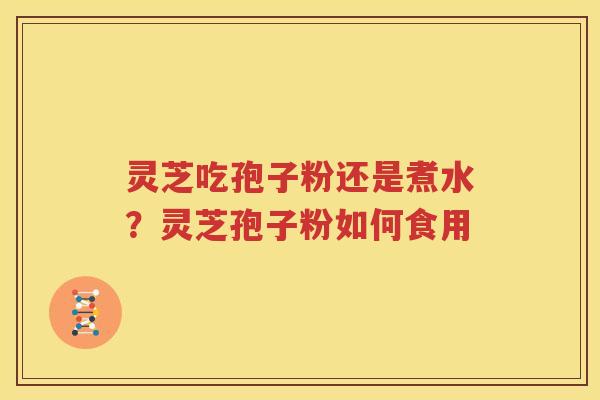 灵芝吃孢子粉还是煮水？灵芝孢子粉如何食用