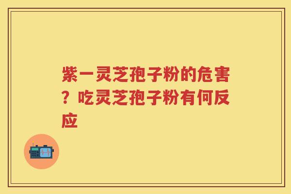 紫一灵芝孢子粉的危害？吃灵芝孢子粉有何反应