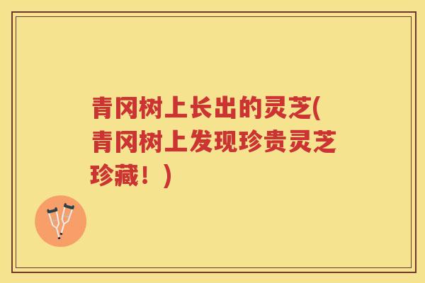 青冈树上长出的灵芝(青冈树上发现珍贵灵芝珍藏！)
