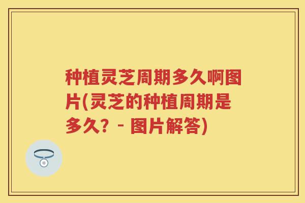 种植灵芝周期多久啊图片(灵芝的种植周期是多久？- 图片解答)