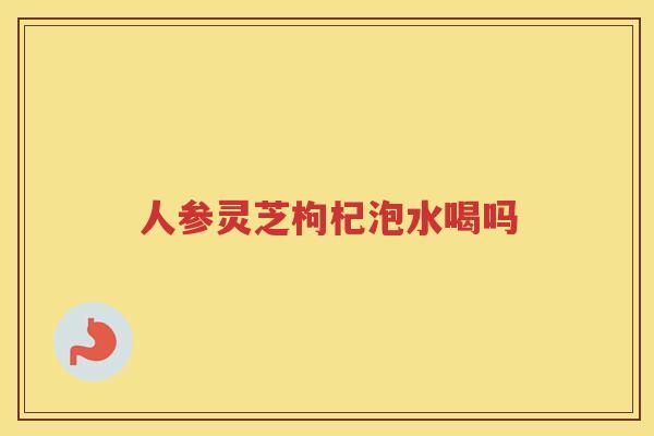 人参灵芝枸杞泡水喝吗