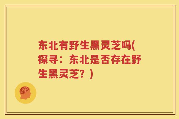 东北有野生黑灵芝吗(探寻：东北是否存在野生黑灵芝？)