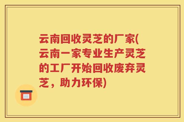 云南回收灵芝的厂家(云南一家专业生产灵芝的工厂开始回收废弃灵芝,助力环保) 云南回收灵芝的厂家(云南一家专业生产灵芝的工厂开始回收废弃灵芝,助力环保)