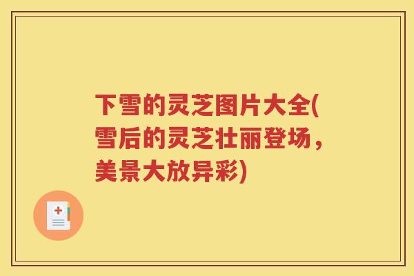 下雪的灵芝图片大全(雪后的灵芝壮丽登场,美景大放异彩) 下雪的灵芝图片大全(雪后的灵芝壮丽登场,美景大放异彩)